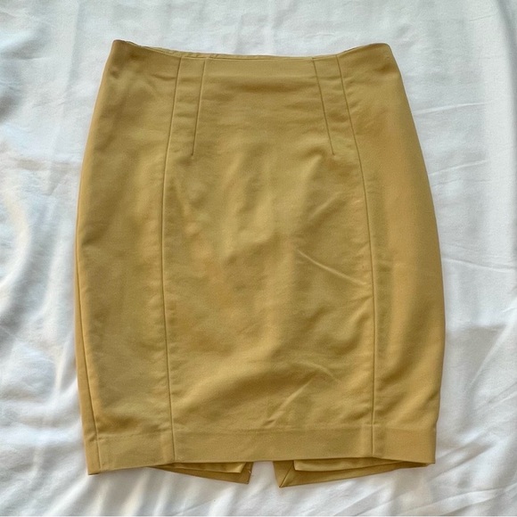 Elegant Express Mustard Yellow Skirt - Picture 1 of 5